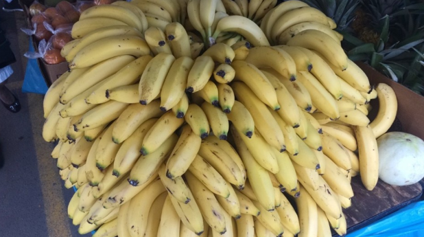  Bananas 