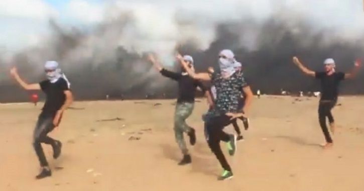 Image result for palestine activist dance