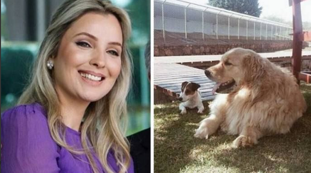Image result for Marcela Temer had risked her life to save her pet dog