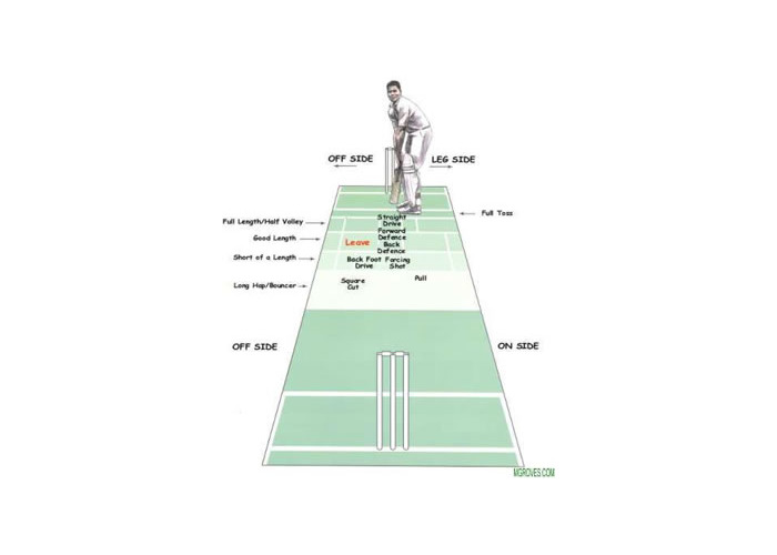 Cricket Batting Techniques