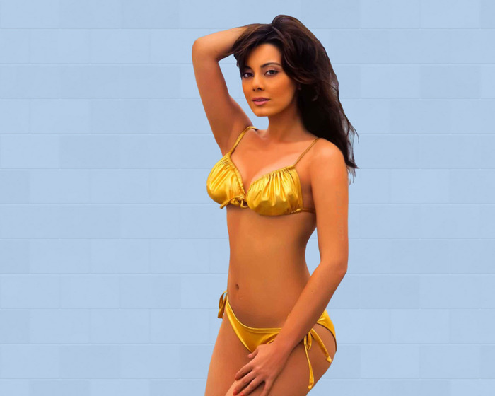 Celebrity Photos: Minissha Lamba Hot Bikini Photoshoot