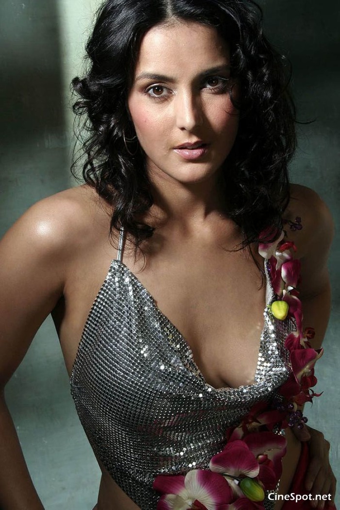 Tulip Joshi Hot Pics