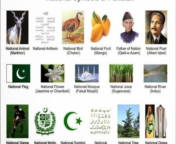 national-symbols-and-things-of-pakistan-national-animal-of-pakistan