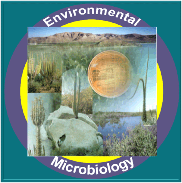 Phd thesis in environmental microbiology