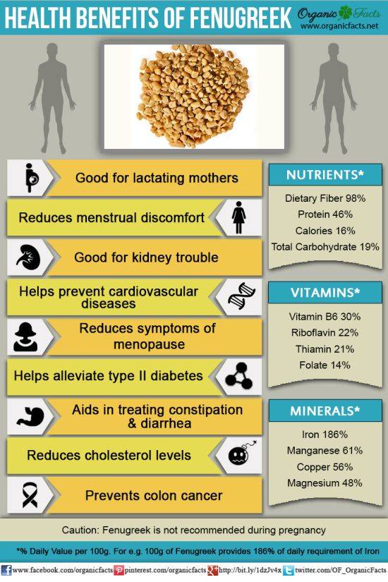 Health Benefits Of Fenugreek ( Methi )