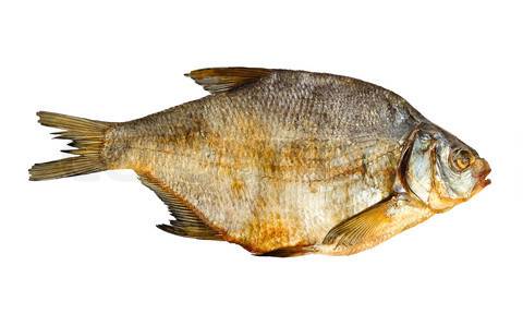 India Sea Fish Species - Indiatimes.com
