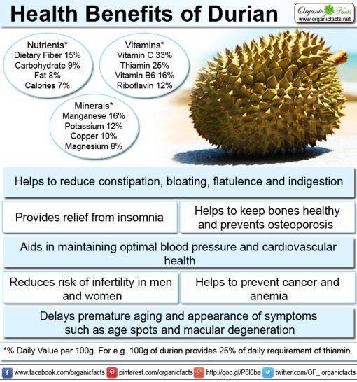 Various Health Benefits Of Durian Fruit 9519