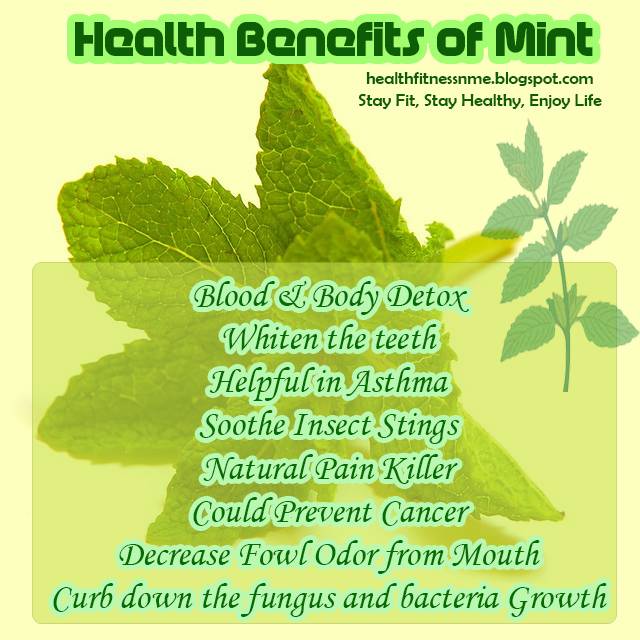 Health Benefits Of Mint Leafs - Indiatimes.com