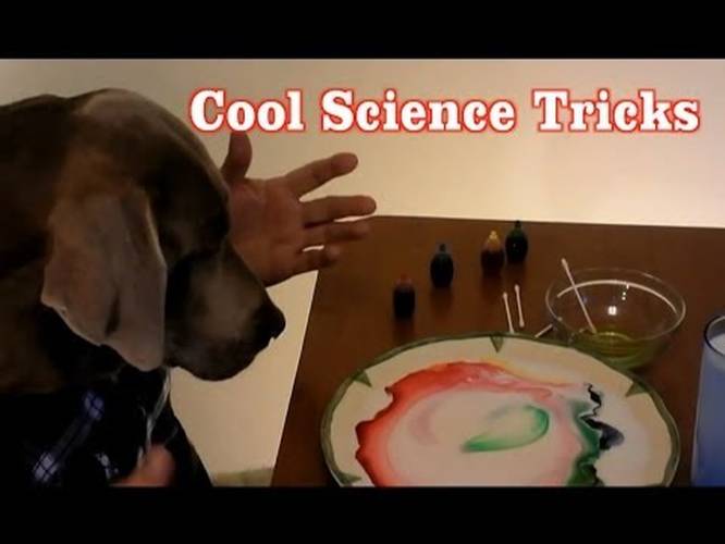 2 Super Cool Science Experiments You Can Do At Home With Household ... 2 Super Cool Science Experiments You Can Do At Home With Household ...