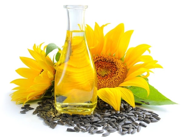 Health Food Sunflower Seeds Health Food Sunflower Seeds