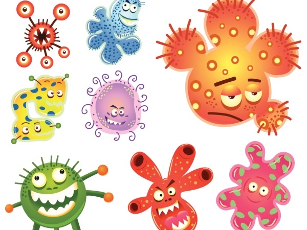 What Exactly Are Germs | Healthy Living