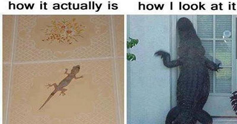 11 Things You'll Only Get If You Are Terrified Of Lizards