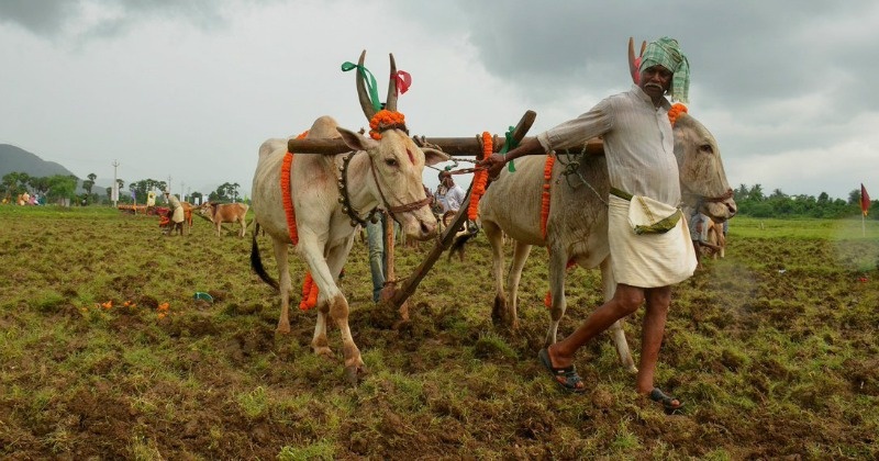 how-the-internet-of-things-is-digitizing-agriculture-speeding-up