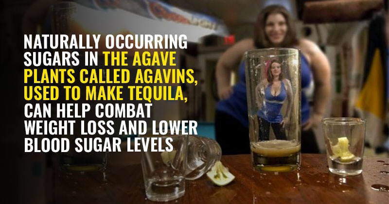 A Key Ingredient In Tequila Can Help You Lose Weight And ...