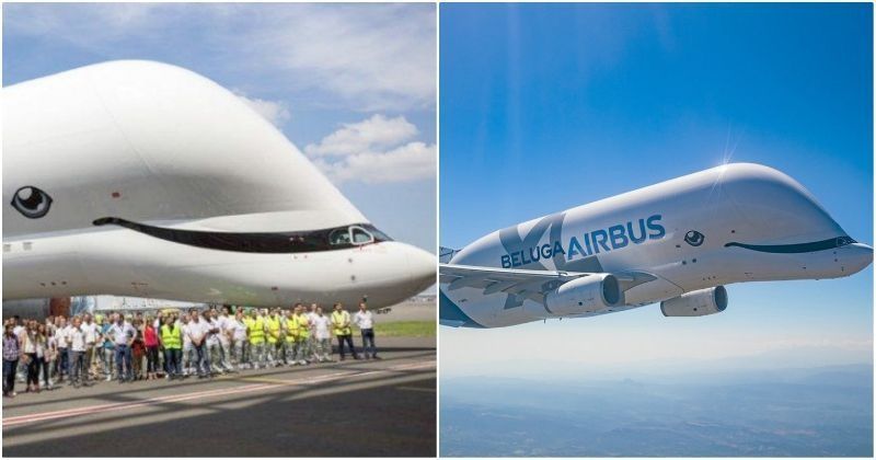 Airbus BelugaXL, The Massive 'Flying Whale' Plane Takes Maiden Dive ...