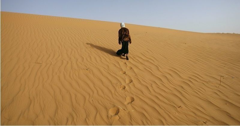 Sahara Desert Greening Due To Climate Change