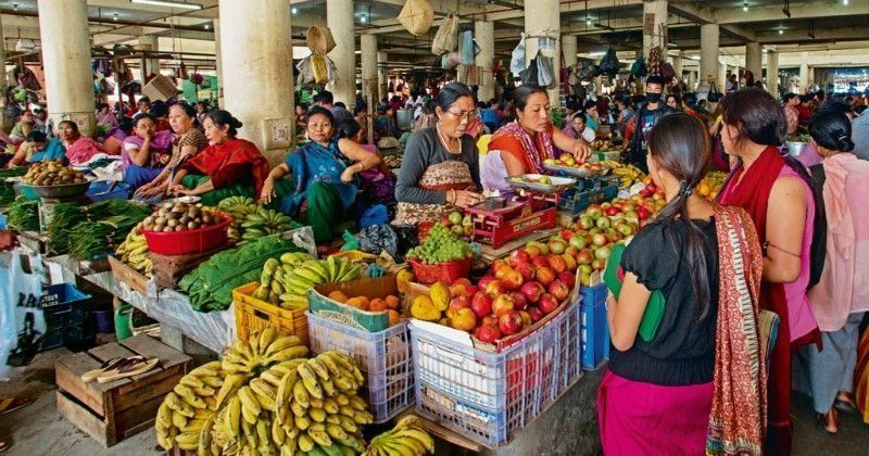 9 Trees That Grow In India And All You Need To Know About Them ...