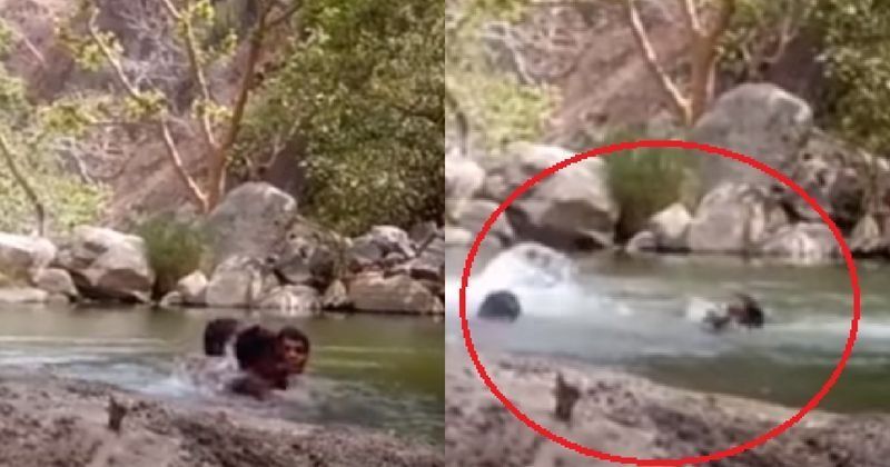 Not Knowing Swimming 3 Men Jump In A Pond In Rajasthan, Accidentally Film Themselves Drowning Not Knowing Swimming 3 Men Jump In A Pond In Rajasthan, Accidentally Film Themselves Drowning