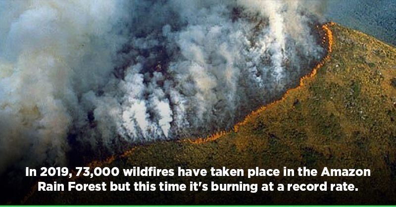 Amazon Forest Fire:As Fires Consume The Amazon Rainforest ...