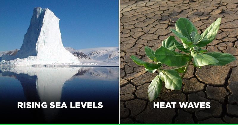 water crisis due to climate change