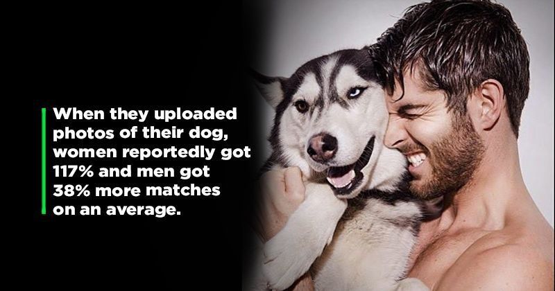 dating apps:Do Pictures Of You Holding Your Dog Get You ...