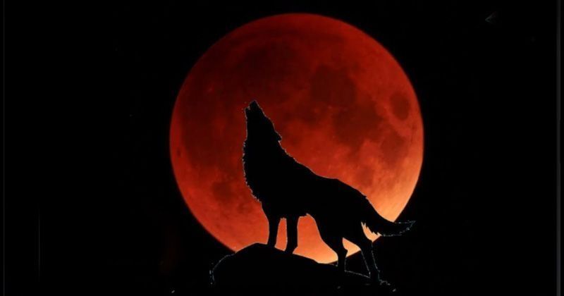 Super Blood Wolf Moon To Be Visible On Jan 20, 2019 - Indiatimes.com