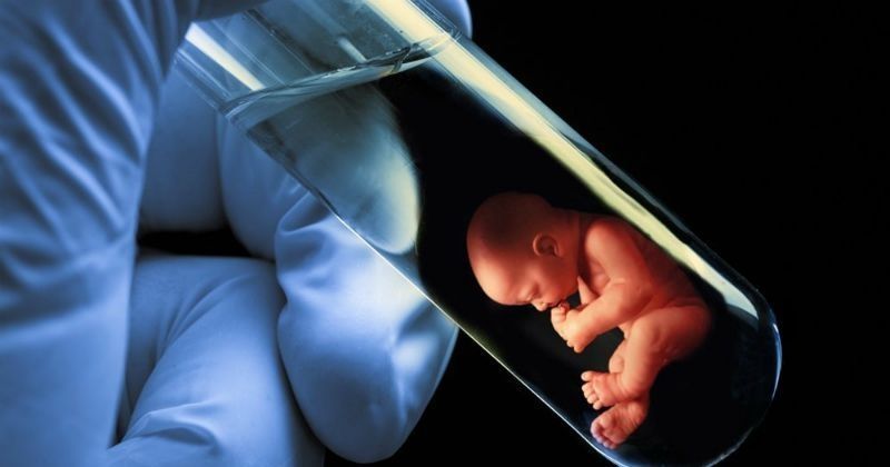 How Are Test Tube Babies Developed – A Comprehensive Guide