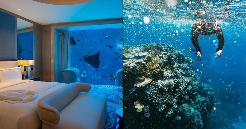 Underwater hotel Australia:A Luxurious Underwater Hotel Is All Set To ...