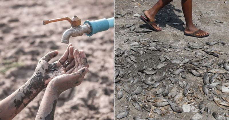 Water Crisis 18 Images Show How Severe Water Crisis Has Become In Many 