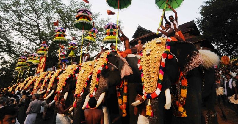 Thrissur Pooram:Kerala's Most-Loved Elephant Allowed To Participate In ...