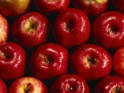 Top 20 Fruits for Diabetics - Indiatimes.com