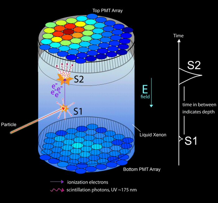 Large Underground Xenon (LUX) Dark Matter Detector Finds Nothing