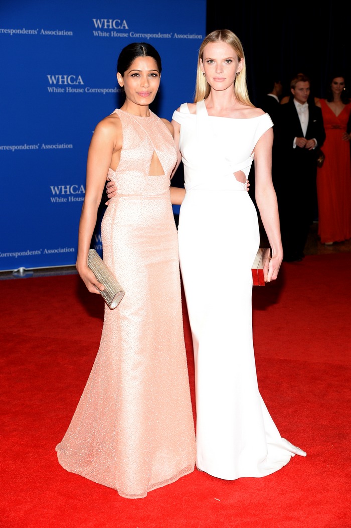 Freida Pinto Attends White House Correspondents' Association Dinner