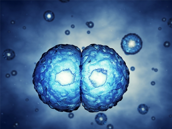 20 Interesting Facts About Stem Cells | Healthy Living ...